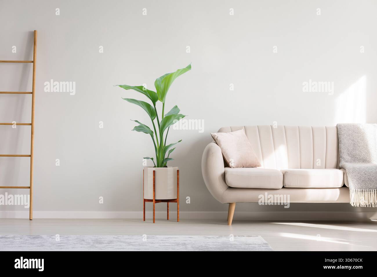 Kissen und Decke auf elegantem Sofa im geräumigen Wohnzimmer mit Kopierraum Stockfoto