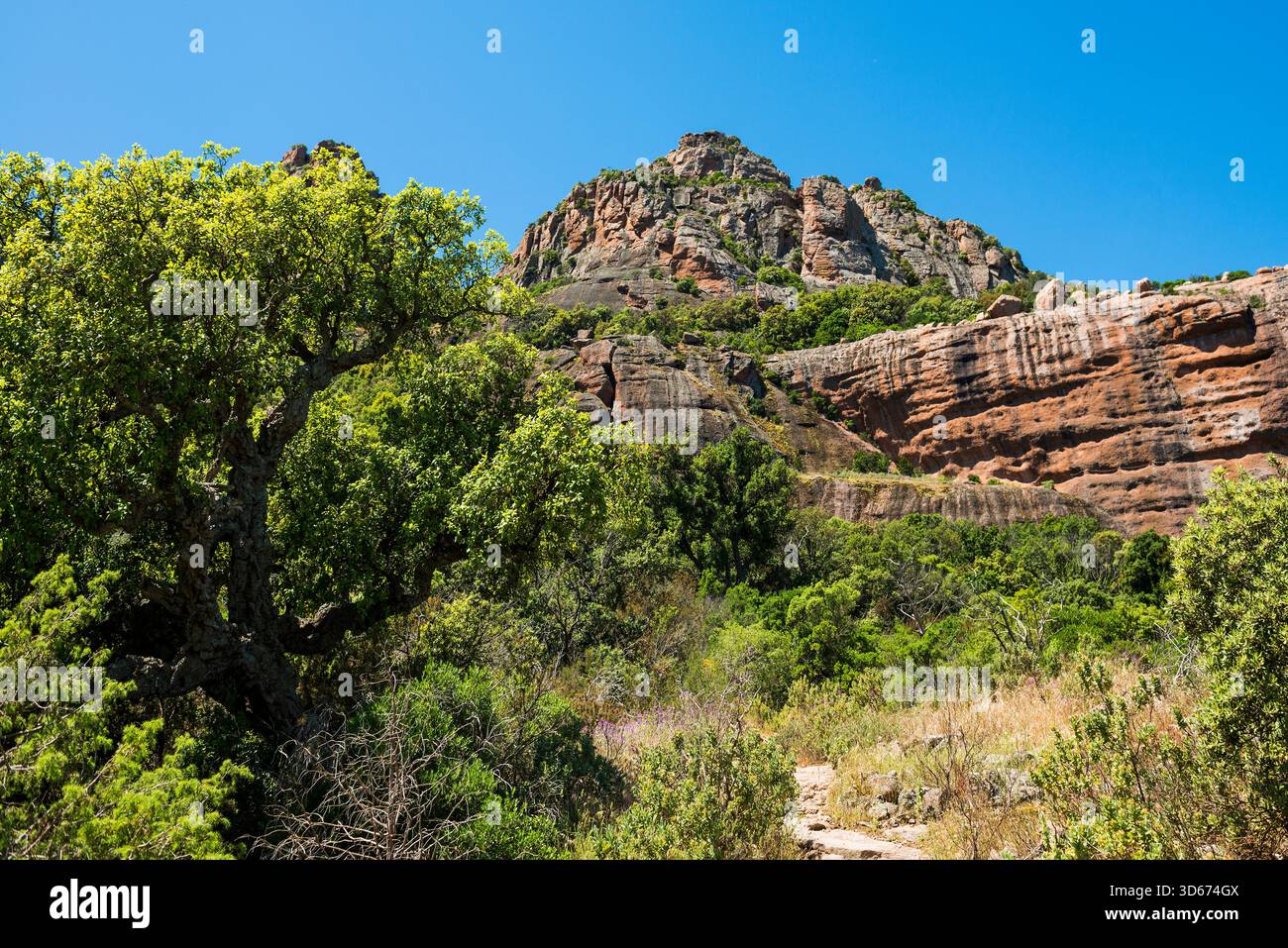 Rocher du roquebrune, Roquebrune-sur-Argens, in der Nähe von Saint-Raphaël, Massif de l'Esterel, Esterelgebirge, Departement VAR, Cote d' Azur, Provence Stockfoto
