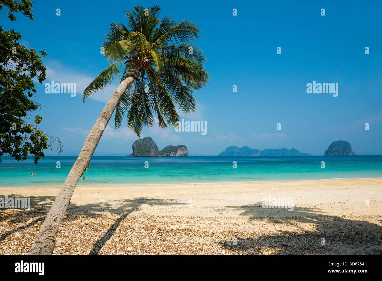 Weißer Sandstrand und Kokospalmen, Sunrise Beach, Koh Hai, Ko Ngai, Provinz Krabi, Trang, Südthailand, Andamanensee, Thailand Stockfoto