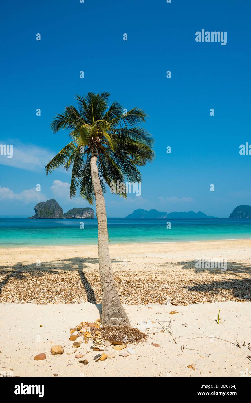 Weißer Sandstrand und Kokospalmen, Sunrise Beach, Koh Hai, Ko Ngai, Provinz Krabi, Trang, Südthailand, Andamanensee, Thailand Stockfoto