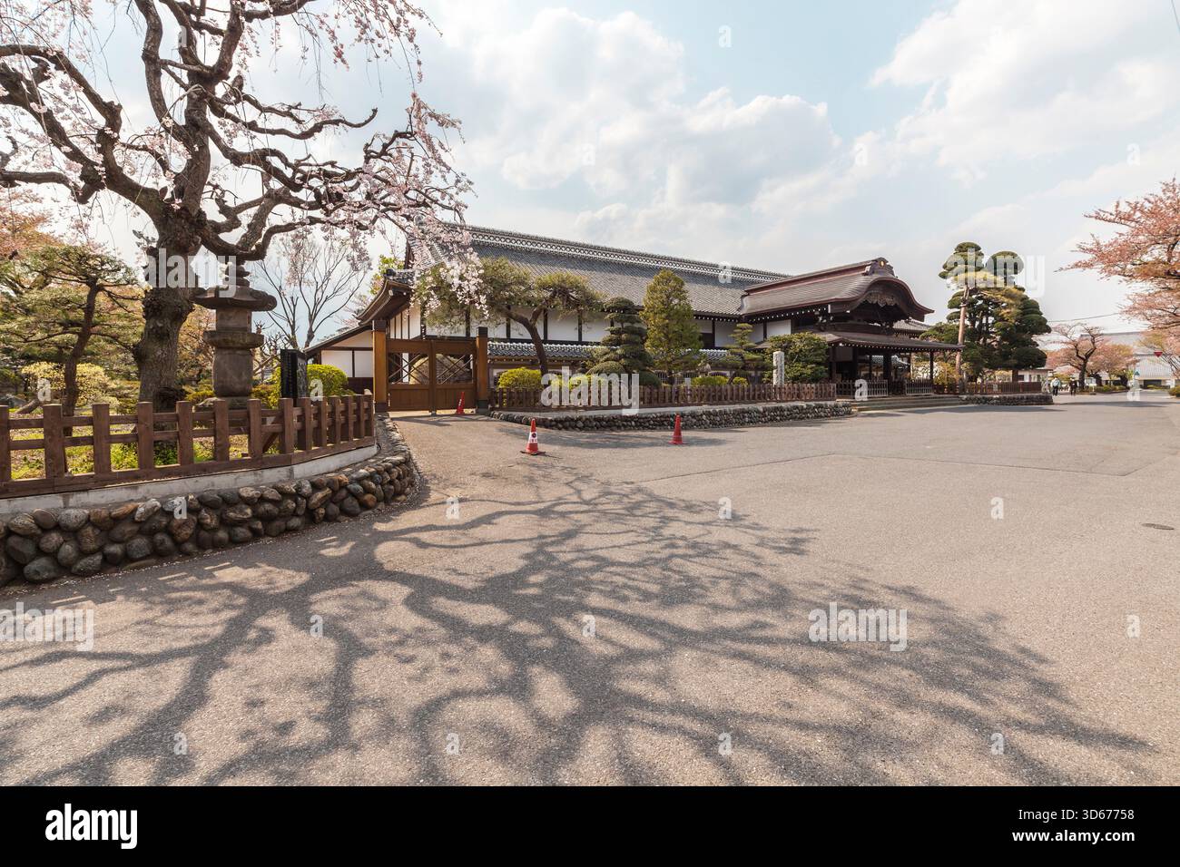 Die Außenseite des Honmaru Goten im Frühjahr mit Cherry Blossom, Kawagoe, Präfektur Saitama, Japan Stockfoto