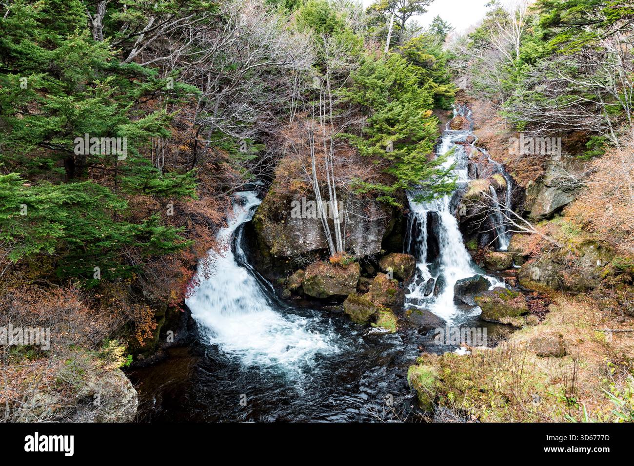 Wasserfall Nikko Ryuzu keine Taki, Nikko, Präfektur Tochigi, Japan Stockfoto