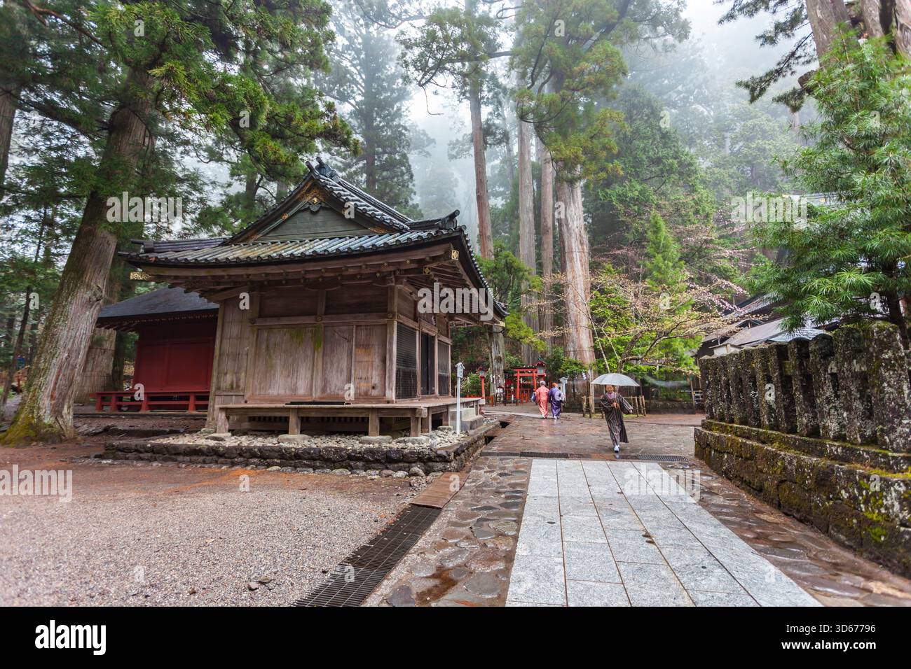 Frau mit Regenschirm bei Futurasan Schrein in Nikko, Präfektur Tochigi, Japan Stockfoto
