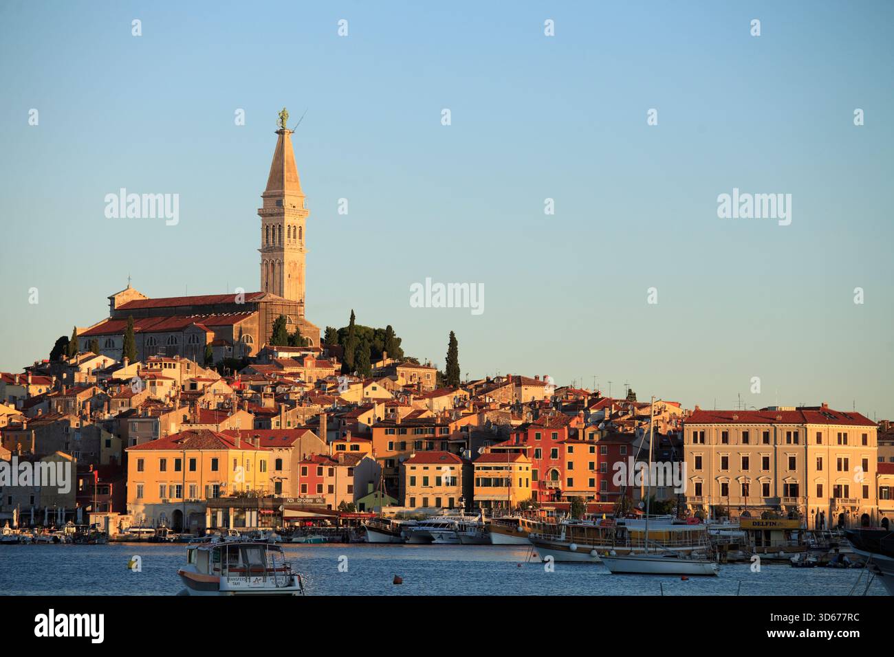 Kroatien, Istrien, Rovinj, Skyline, allgemeine Ansicht, Stockfoto