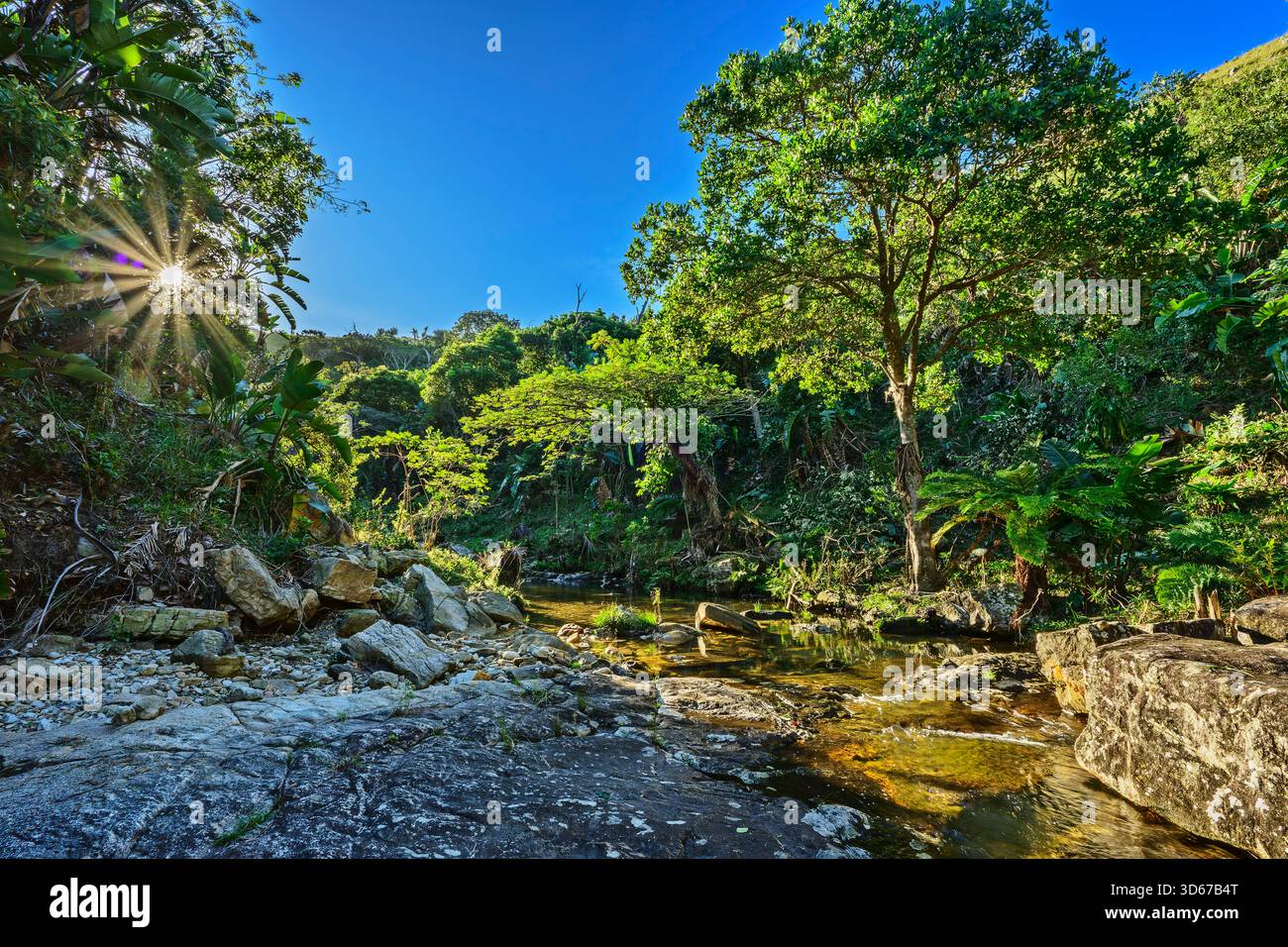 Garten Eden River Valley, Lambazi Bay, Wild Coast Trail, Wild Coast, Eastern Cape, Südafrika Stockfoto