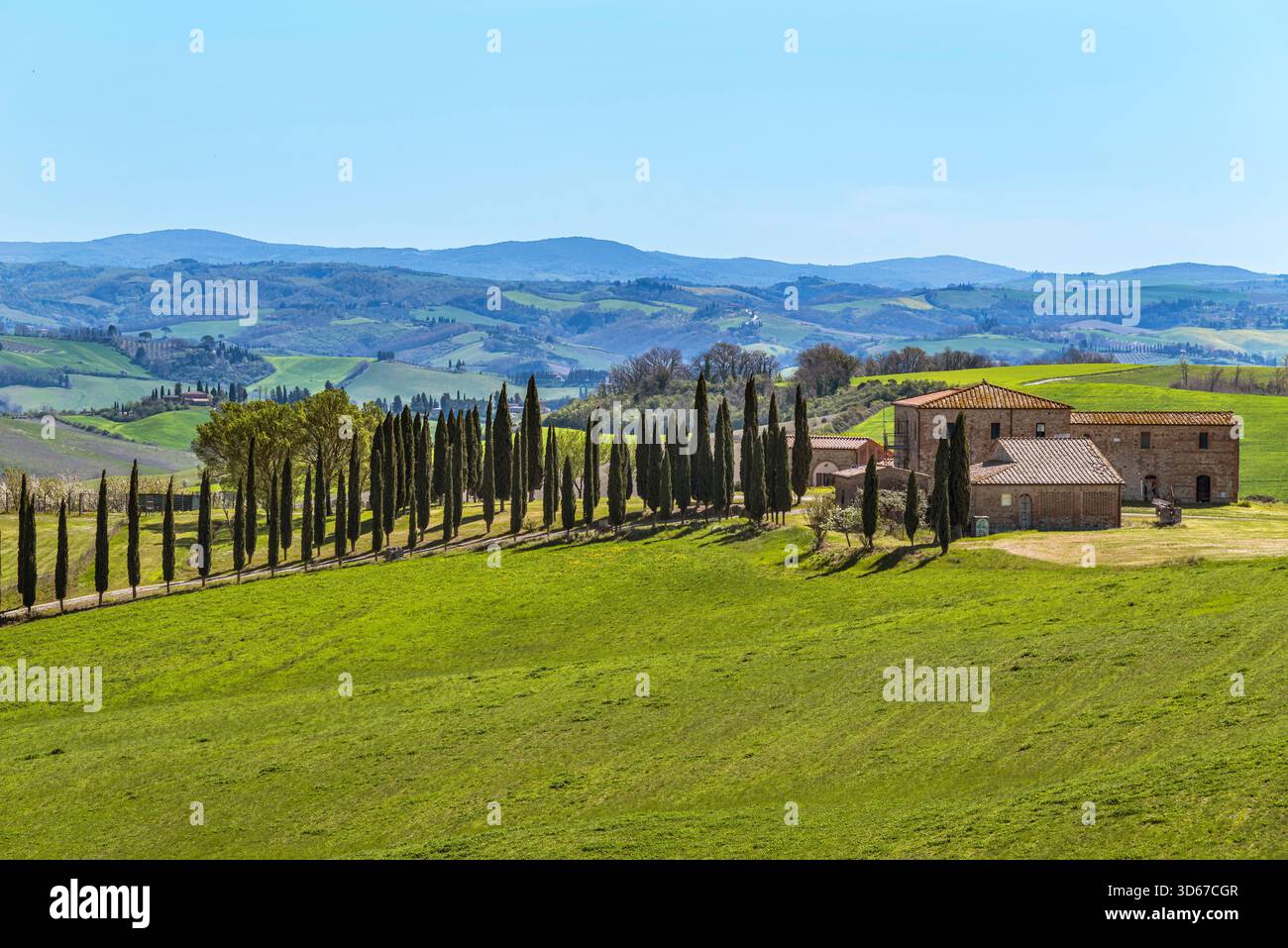 Agriturismo und Zypressen vor den Hügeln des Val d'Orcia, Toskana, Italien Stockfoto