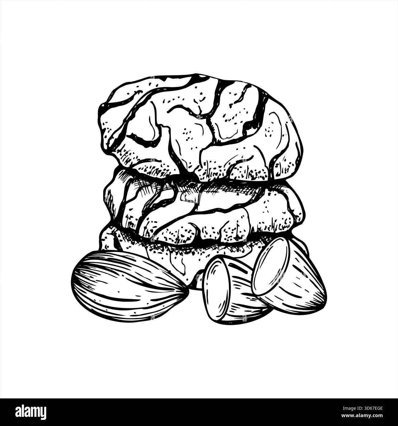 Nuss zerbrochene Cookies und geschälte Mandelvektor isolierte Illustration gemalt von schwarzen Tinten. Traditionelle hausgemachte süße Plätzchen-Ätzzeichnung. Stock Vektor