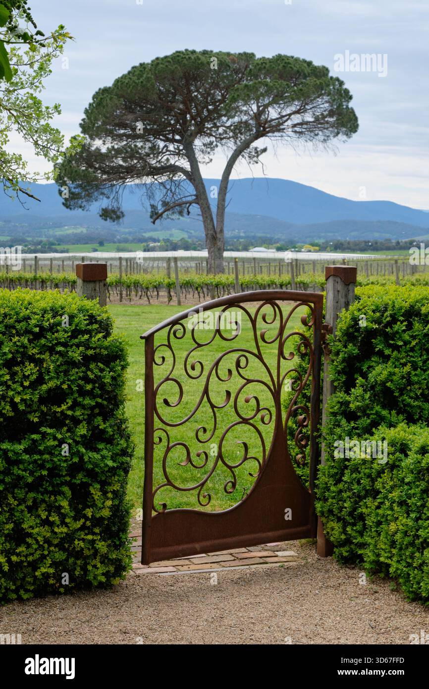 Schmiedeeisernes Tor im Yarra Valley - Coldstream, Victoria, Australien Stockfoto
