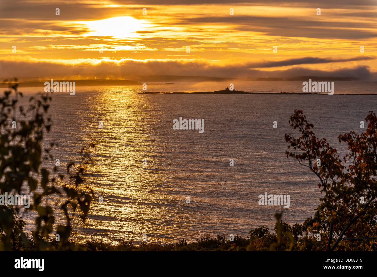 Morning Mood, Park Loop Road, Acadia National Park, Mount Desert Island, Maine, USA Stockfoto