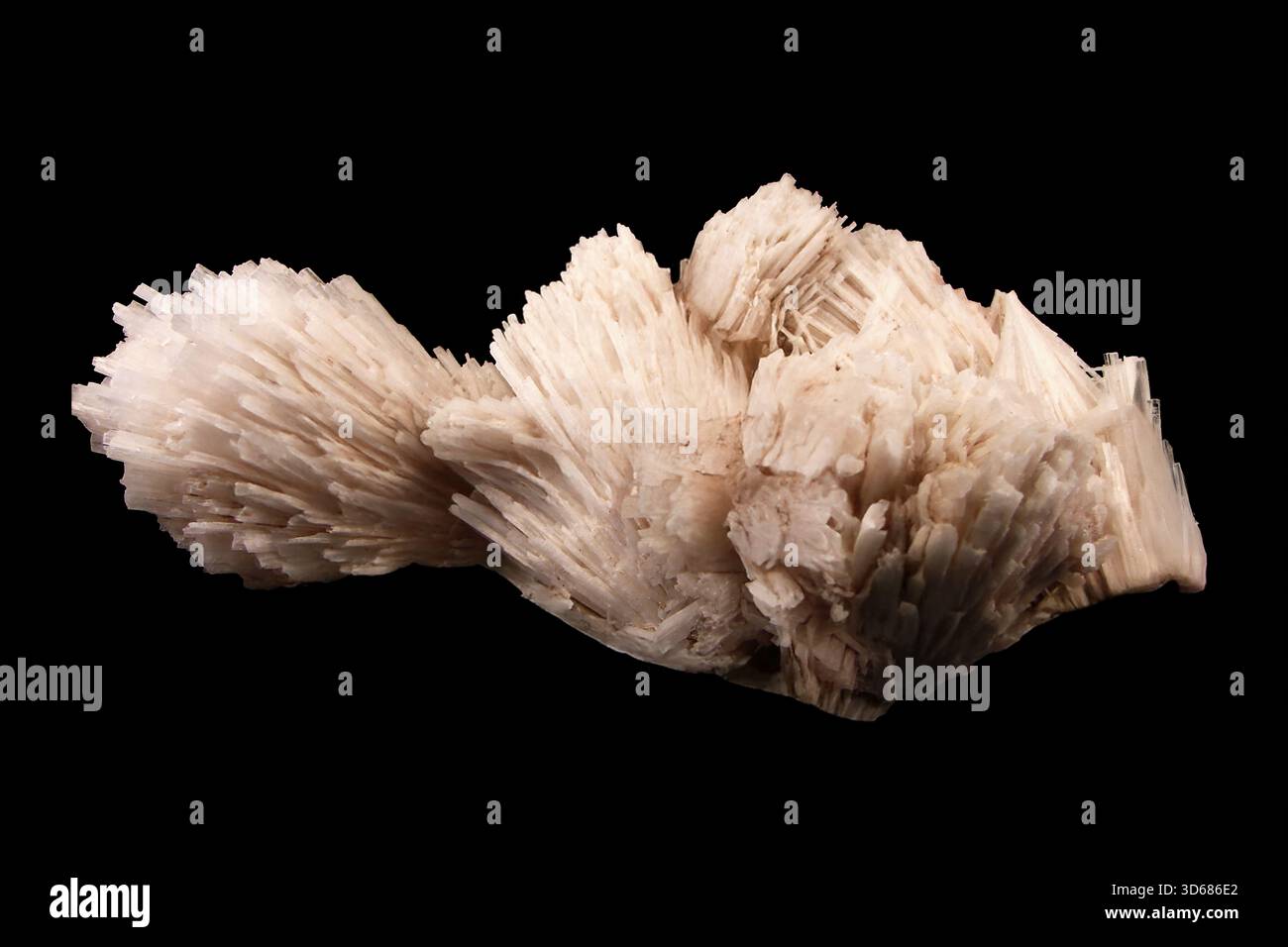 Natürliches Aragonitkristall zeigt feine Radialfasern, die elegante weiße Mineralien mit zarter Struktur und weichem organischen Aussehen bilden. Stockfoto