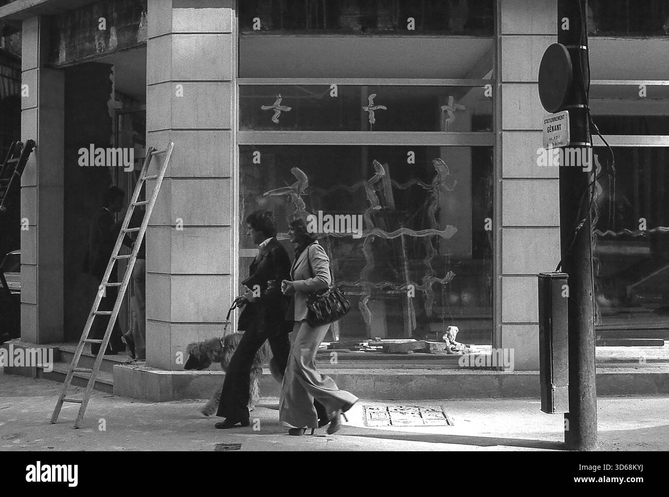 1975, Paris, Rive Droite, Paar mit afghanischem Hund. Stockfoto