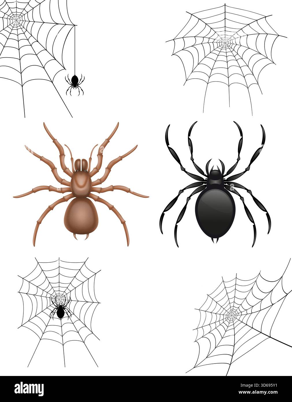 Spinnen- und Web-Cartoon-Stock-Vektor-Illustration isoliert auf weißem Hintergrund Stockfoto