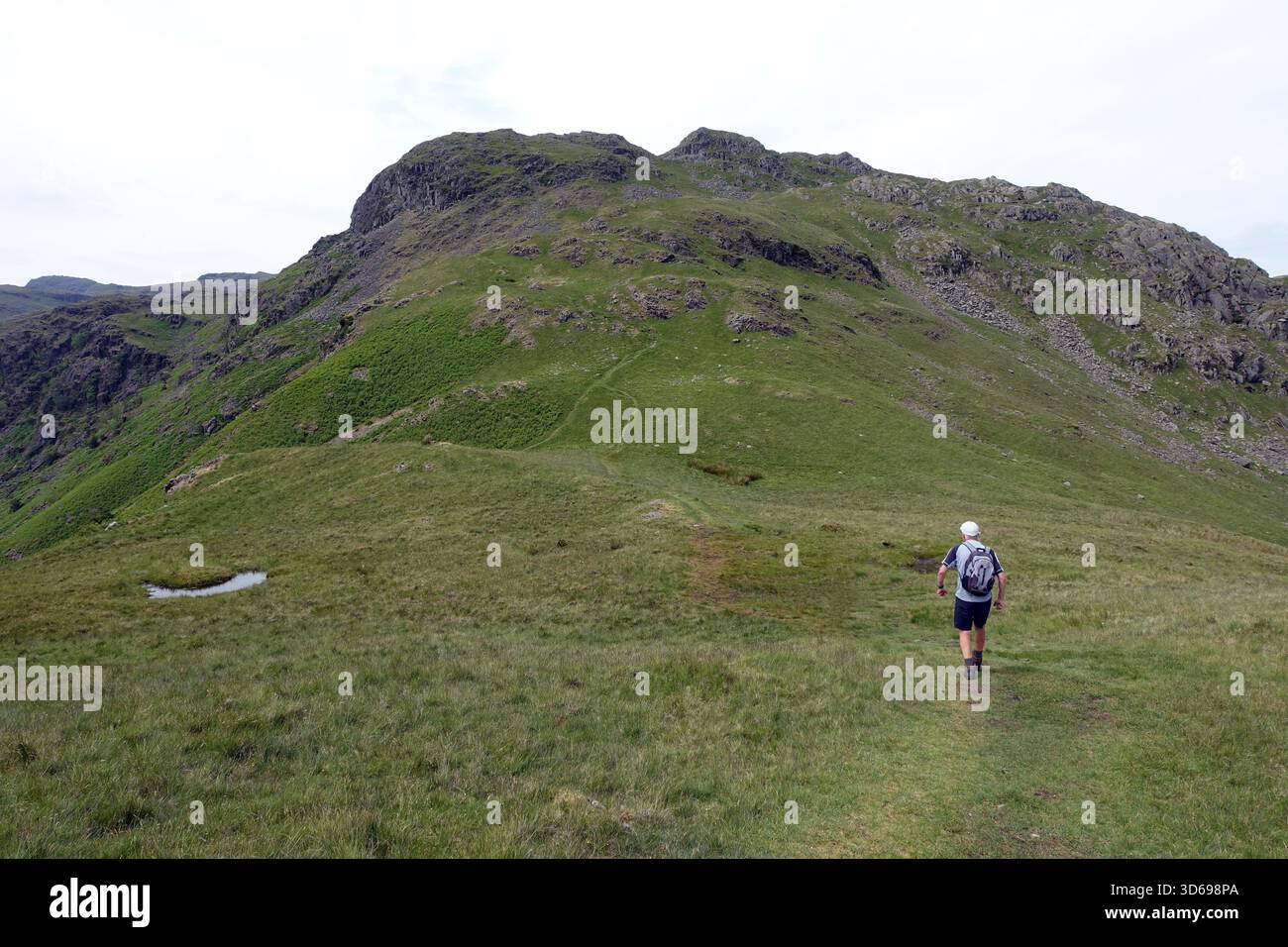 Single man (Wanderer) Walking on Path to the Summit of the Wainwright ''Tarn Crag' in der Nähe von Grasmere, Lake District National Park, Cumbria, England, Großbritannien. Stockfoto