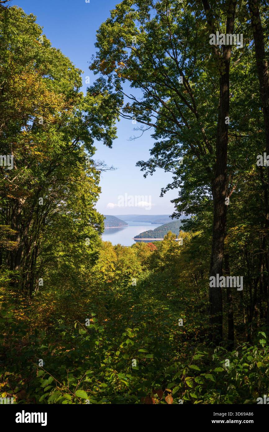 Eine Lücke im Wald zeigt ein helles Stück Reservoir und blauen Himmel, mit belaubten Bäumen im Vordergrund, im Allegheny National Forest, Pennsylvania. Stockfoto