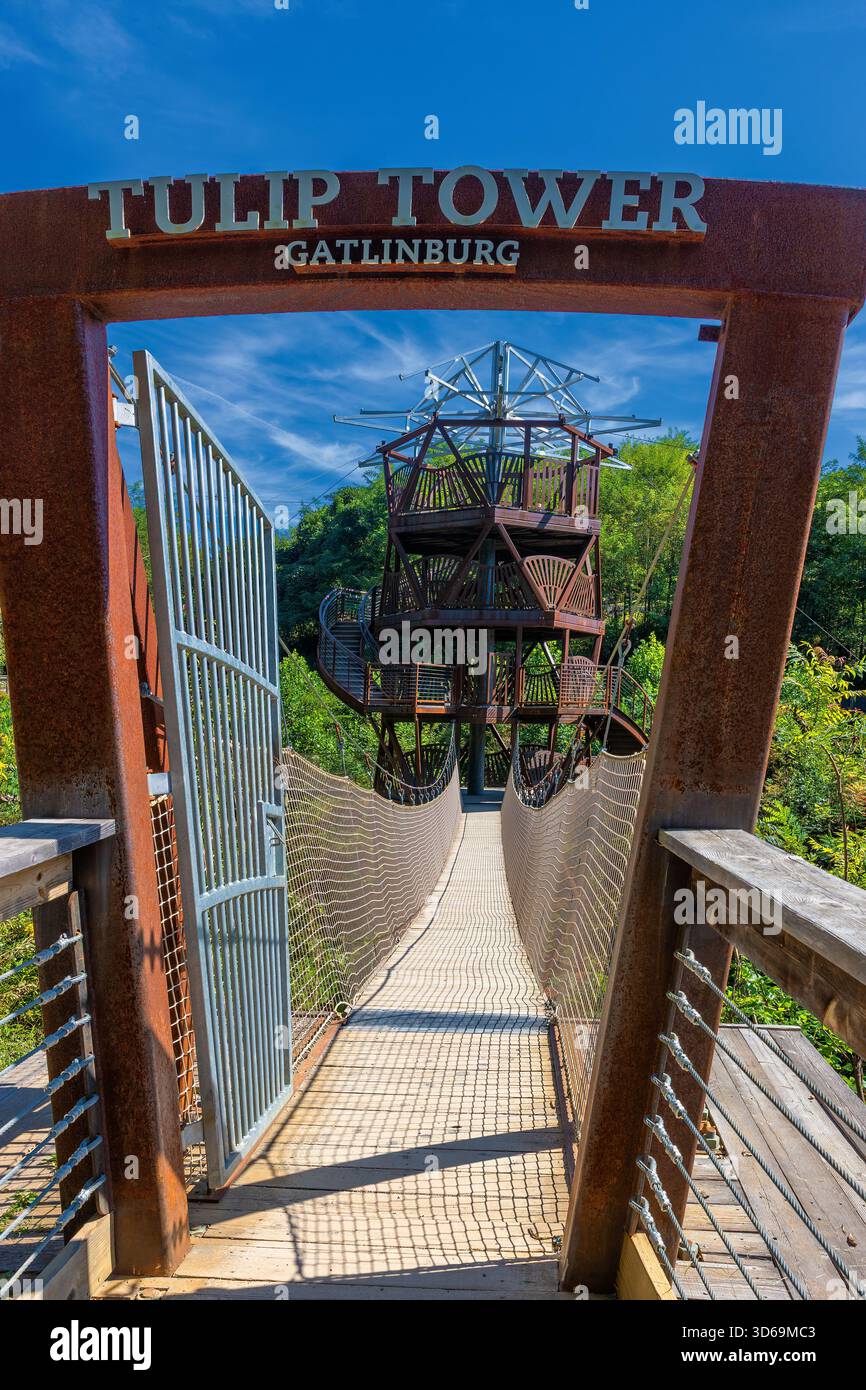 Gatlinburg, Tennessee, USA – 2. Oktober 2025: Eine weitere kleine Fußgängerbrücke, die zum Tulip Tower im SkyPark führt. Stockfoto