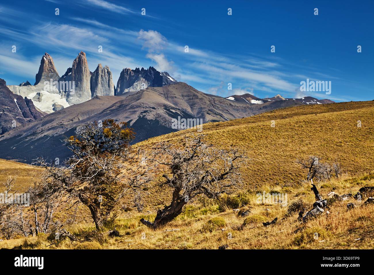 Torres del Paine Nationalpark, Patagonien, Chile Stockfoto