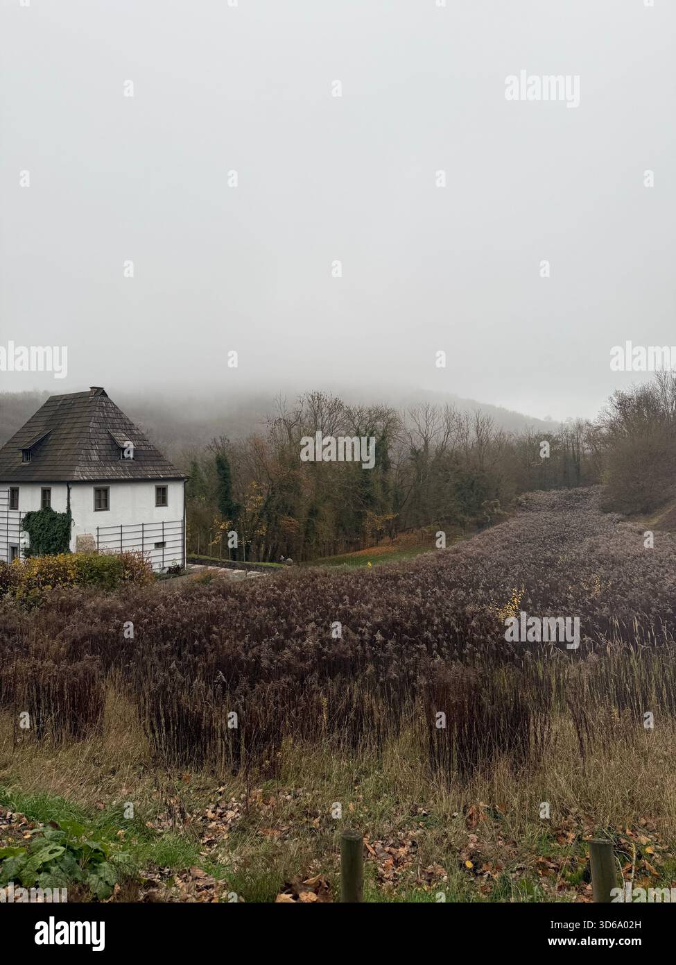 Im Nebel ertrinken - Smartphone-aufgenommenes Stockfoto