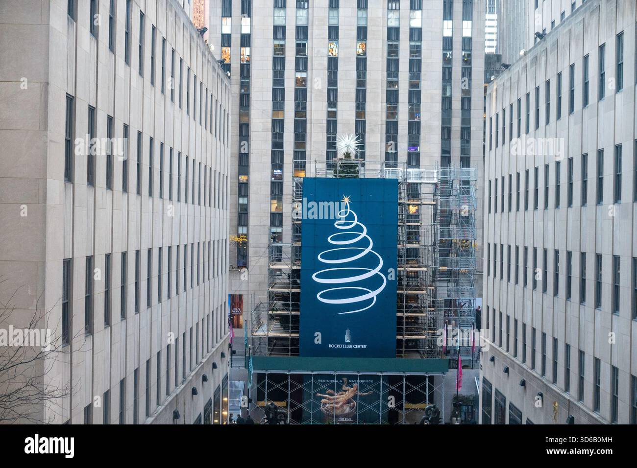 Der legendäre Weihnachtsbaum im Rockefeller Center wird nach Thanksgiving, 2025, New York City, USA, unter Gerüsten verziert Stockfoto