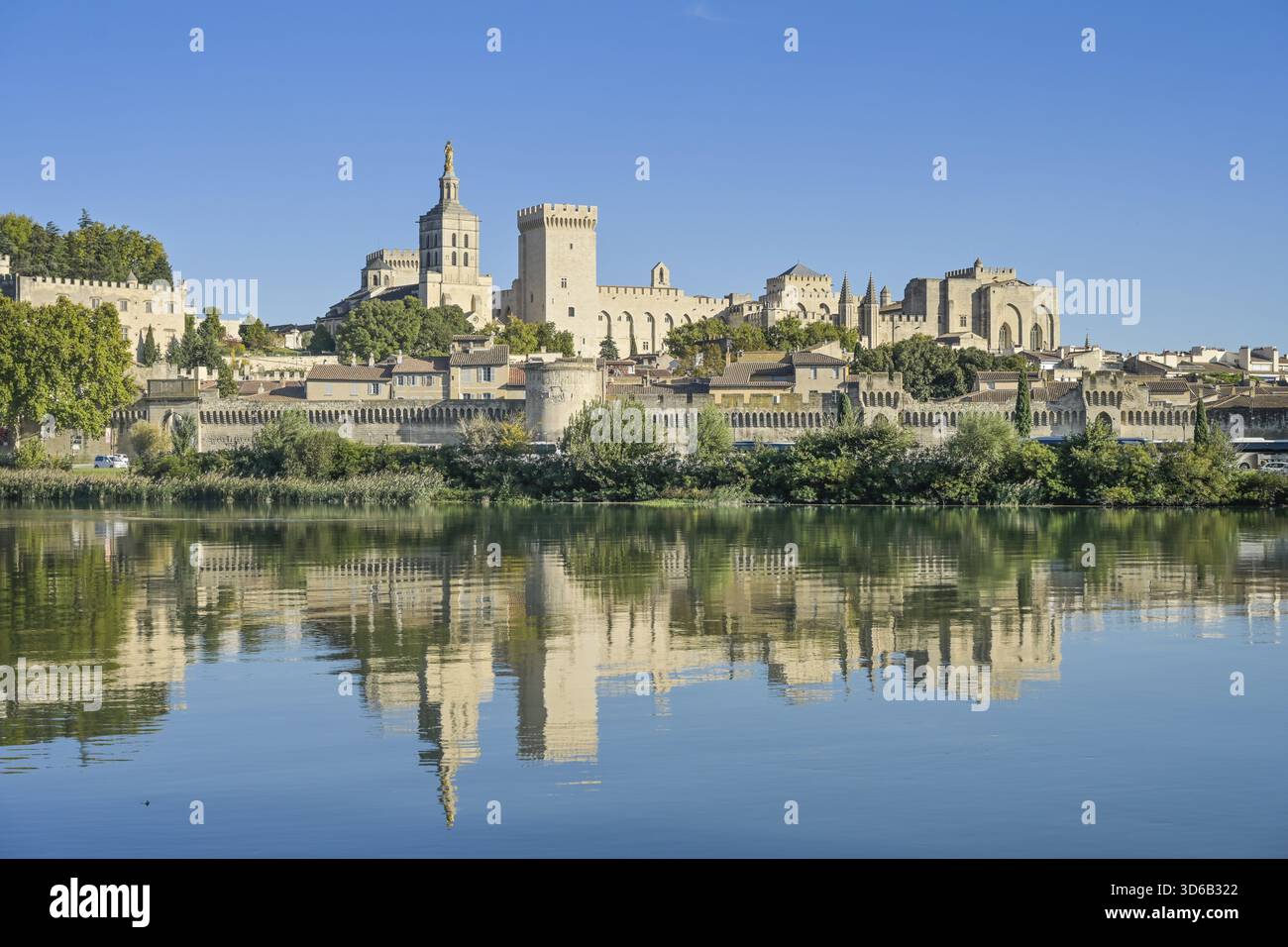 Stadtblick, Altstadt mit päpstlichem Palast Palais des Papes, Fluss Rohne, Avignon, Frankreich Stockfoto
