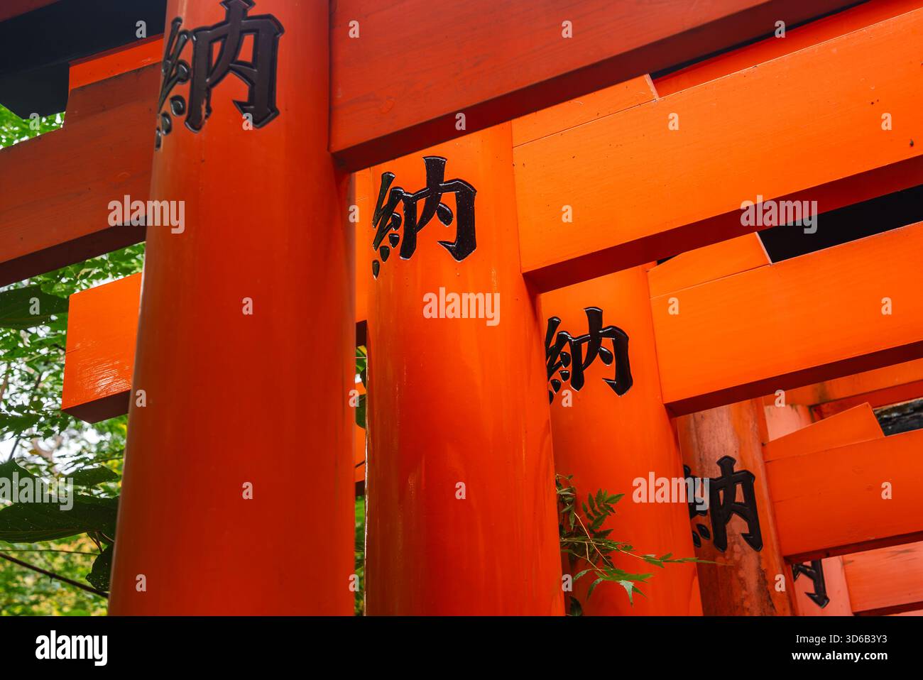 Vermilion Torii Tore mit Kanji in Fushimi Inari Taisha, Kyoto Stockfoto