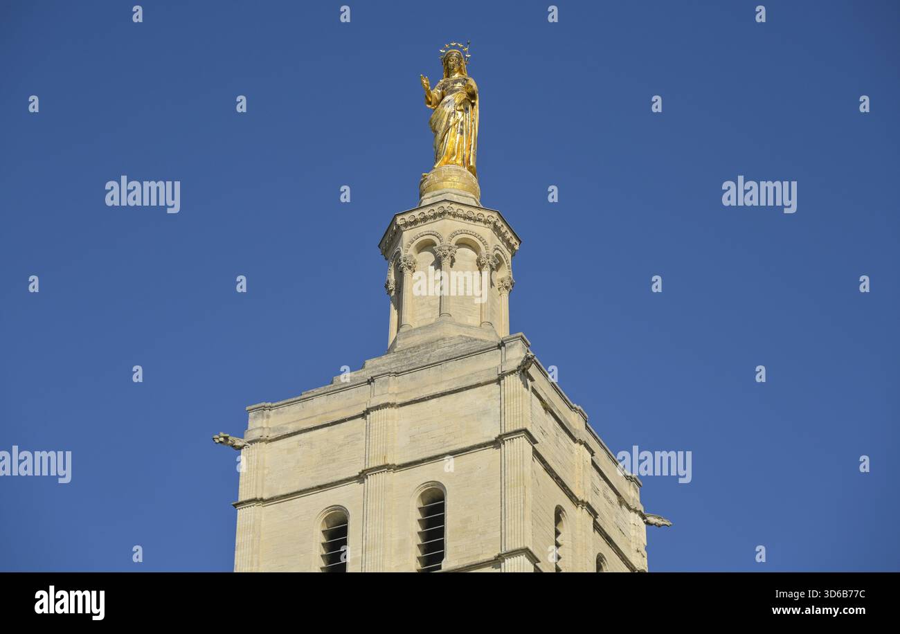 Goldene Madonna auf dem Kirchturm, Cathedrale Notre-Dame-des-Doms d'Avignon, Papstpalast, Avignon, Frankreich Stockfoto