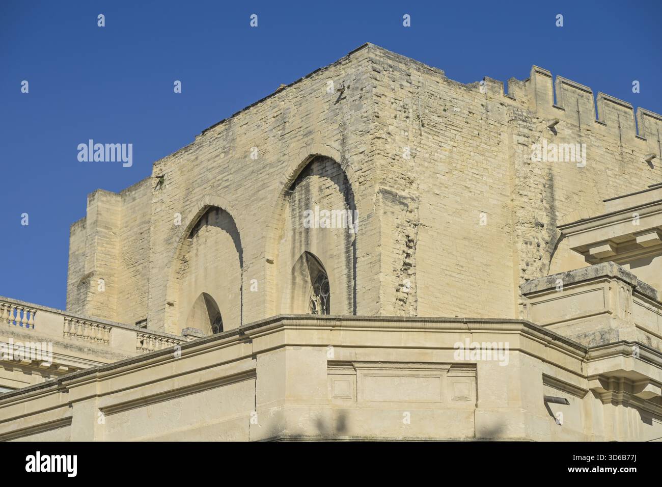 Zinnen, Turm, Mauern, Papstpalast, Avignon, Frankreich Stockfoto