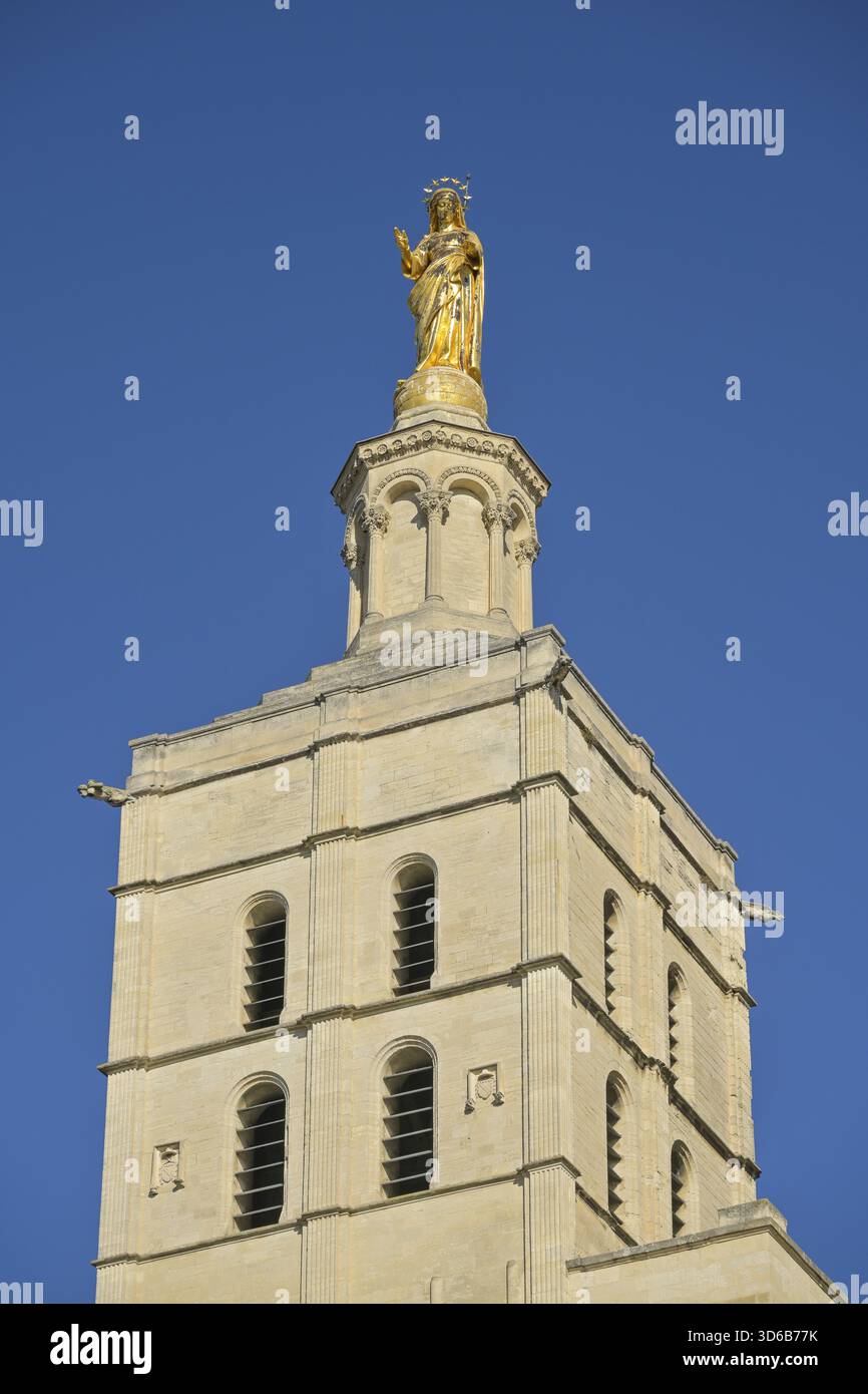 Goldene Madonna auf dem Kirchturm, Cathedrale Notre-Dame-des-Doms d'Avignon, Papstpalast, Avignon, Frankreich Stockfoto