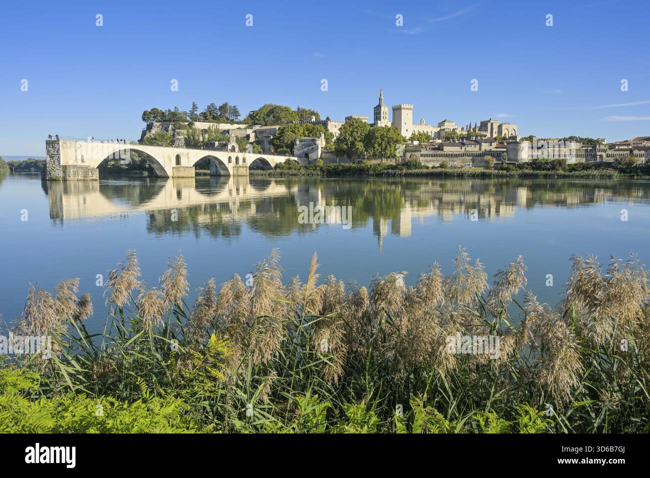 Brücke Pont Saint-Benezet, Fluss Rhone, Altstadt mit päpstlichem Palast Palais des Papes, Altstadt, Avignon, Frankreich Stockfoto