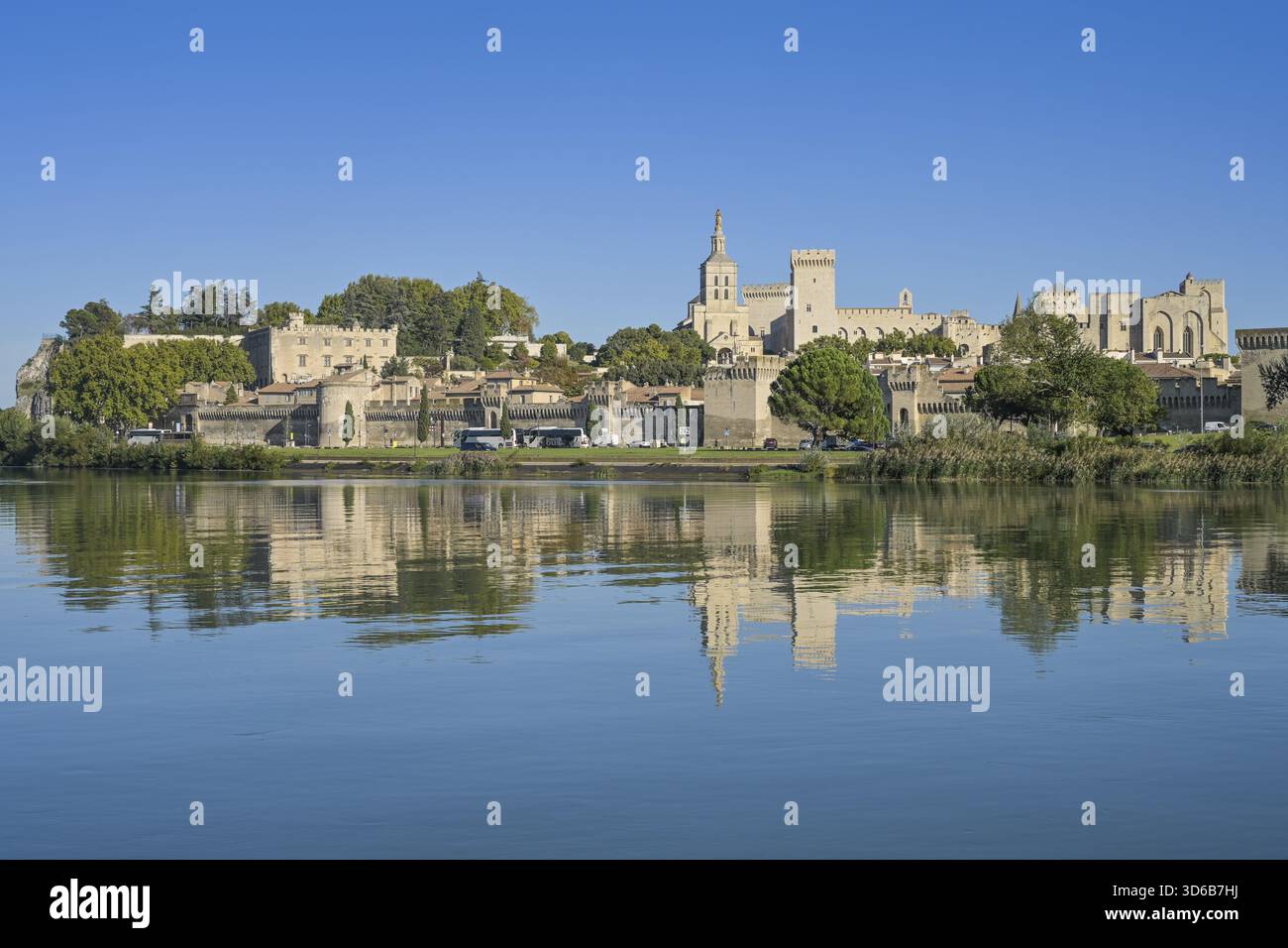 Stadtblick, Altstadt mit päpstlichem Palast Palais des Papes, Fluss Rohne, Avignon, Frankreich Stockfoto