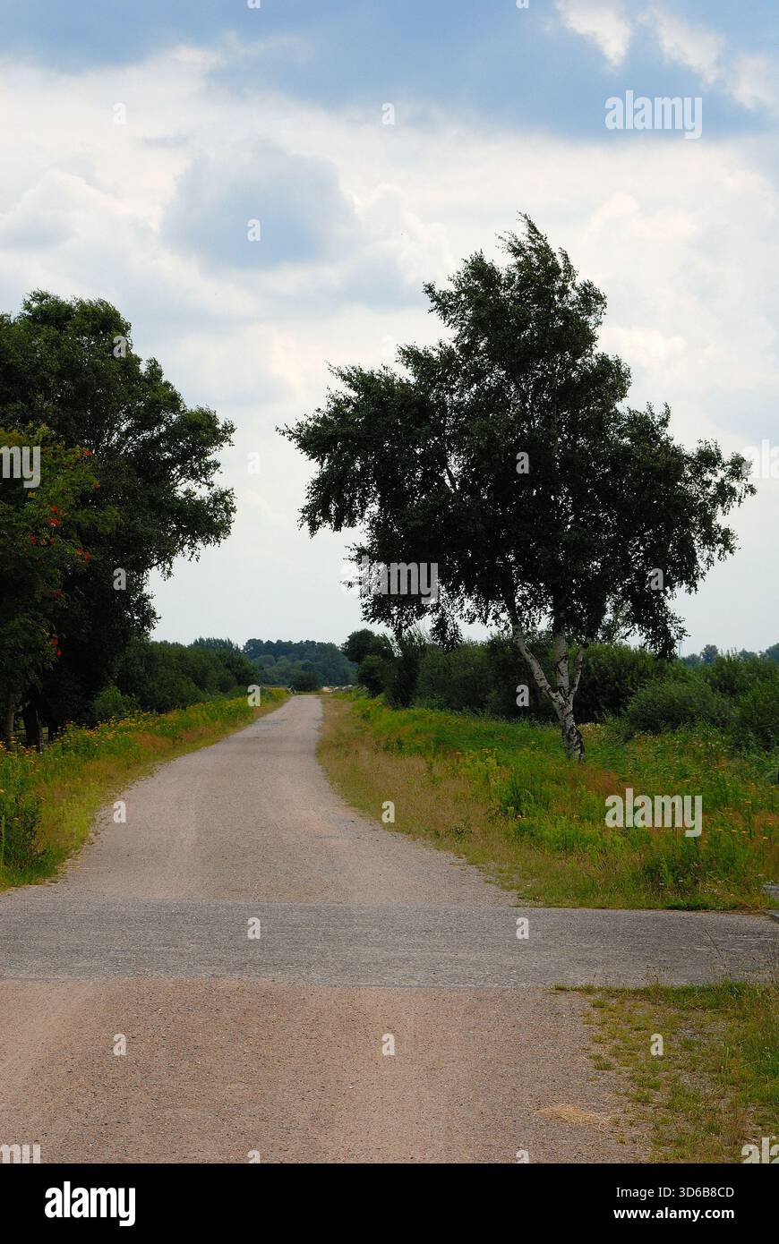 Gerader ländlicher Pfad führt durch grüne Landschaft mit Bäumen, Wiesen und einem leicht bewölkten Himmel. Stockfoto