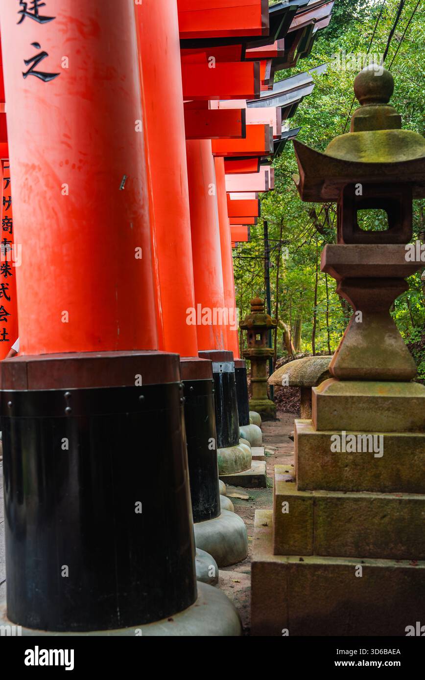 Vermilion-torii-Korridor bei Fushimi Inari Taisha in Kyoto, Japan Stockfoto