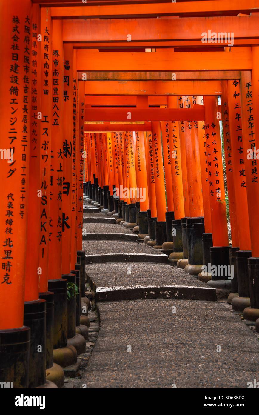 Vermilion-Torii-Tunnel bei Fushimi Inari Taisha in Kyoto, Japan Stockfoto