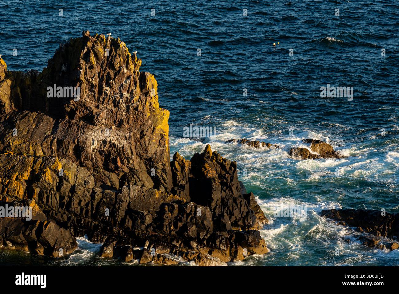 Felsige Küstenklippe mit Wellen, die im warmen Morgenlicht unter uns brechen Stockfoto