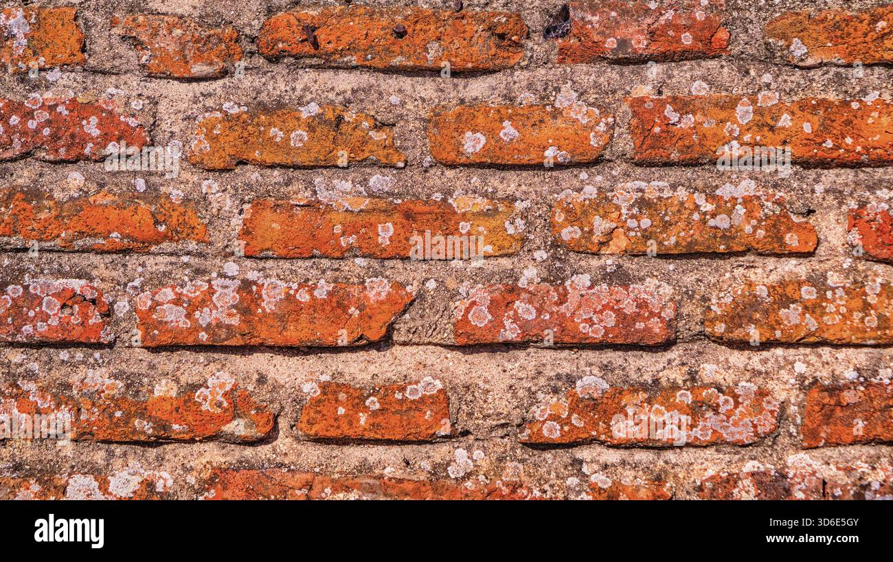 Abstraktes Strukturiertes Hintergrunddesign Aus Alten Ziegelwänden Stockfoto