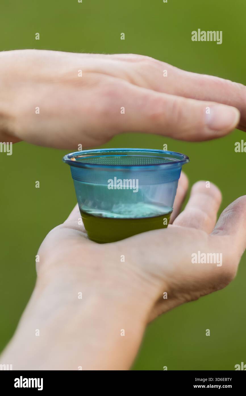 Kleines Probierglas aus gelb-grünem transparentem EVO-Öl. Hände halten den Becher. Unscharfer olivgrüner Hintergrund. Professioneller Werkkontext. Stockfoto