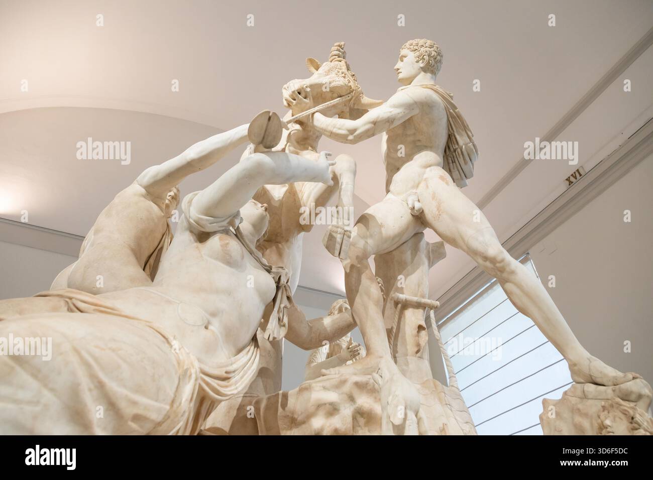 NEAPEL, ITALIEN ? 26. JUNI 2025: Die Marmorstatuengruppe Farnese Bull wird im Archäologischen Nationalmuseum von Neapel ausgestellt, zeigt die mythologische Szene mit Dirce, erinnert an Drama und Pracht. Stockfoto