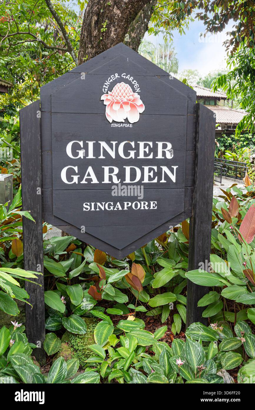 Der Ingwergarten im National Orchid Garden in Singapur Botanic Gardens, Singapur, Südostasien Stockfoto