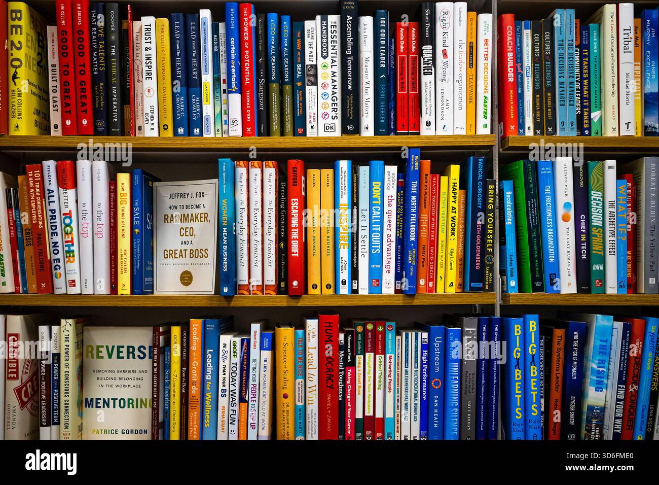 Bücherregal für Geschäftsbücher, Buchhandlung mit Regal für Bücher über Unternehmen, Management, Führung, berufliche Entwicklung, Mentorenkonzept Stockfoto