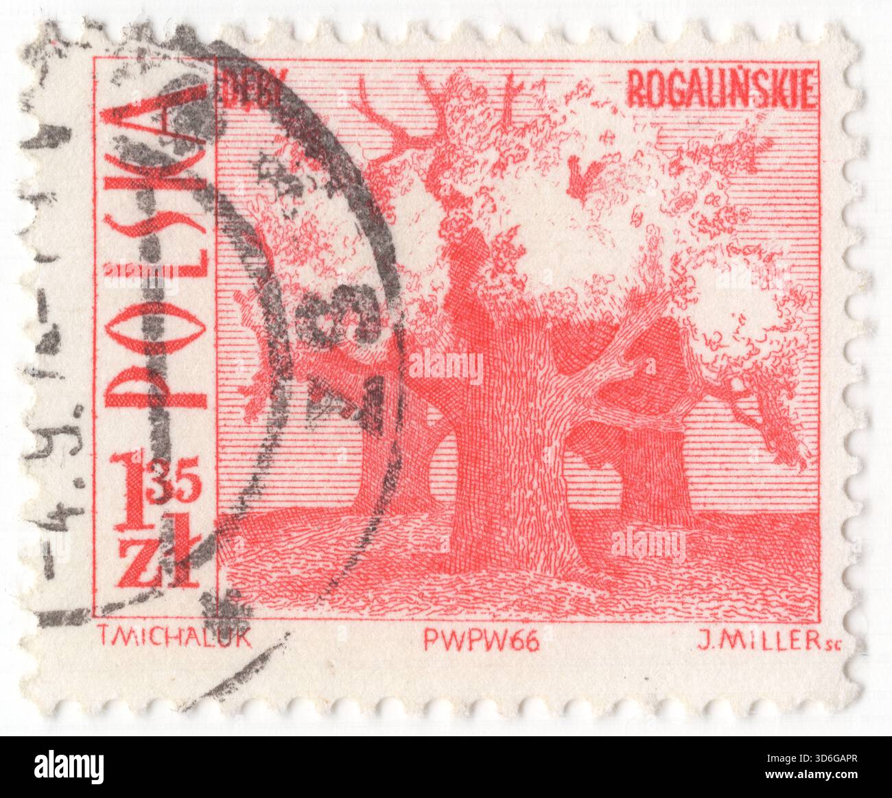 POLEN — 15. September 1966: 1,35 Zloty Zloty Inlinrot Briefmarke mit der touristischen Attraktion: Alte Eichen in Rogalin, am Fluss Warta. Es liegt etwa 7 km östlich der Stadt Mosina und 19 km südlich der Metropole Poznań. Am bekanntesten sind der Landschaftspark Rogalin (mit den ältesten Eichen Polens), der Barockpalast, die Kunstgalerie und die neoklassizistische Kirche mit dem Mausoleum der Familie Raczyński Stockfoto