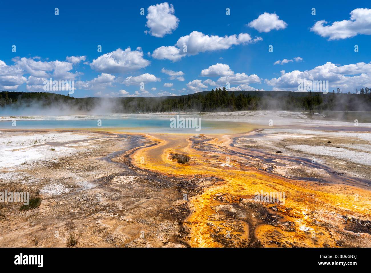 Ansicht des Yellowstone National Park in Wyoming, USA. Stockfoto