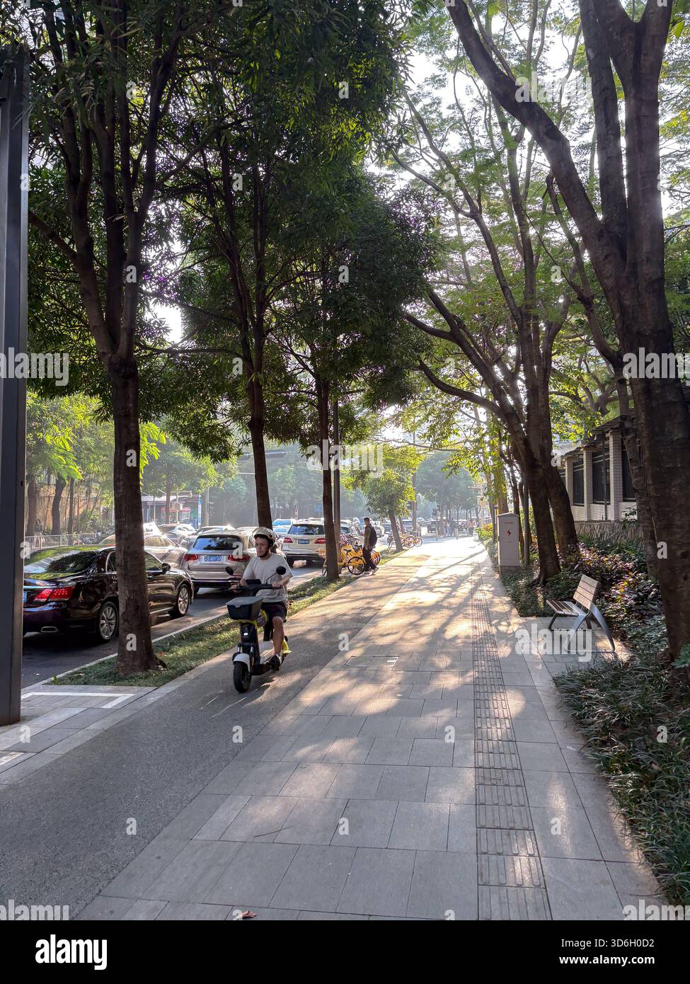 Ein Mann auf einem Elektroroller navigiert auf einem schattigen Bürgersteig, der von üppigen Bäumen und geparkten Autos gesäumt ist. Verflecktes Sonnenlicht erzeugt ein ruhiges u Stockfoto