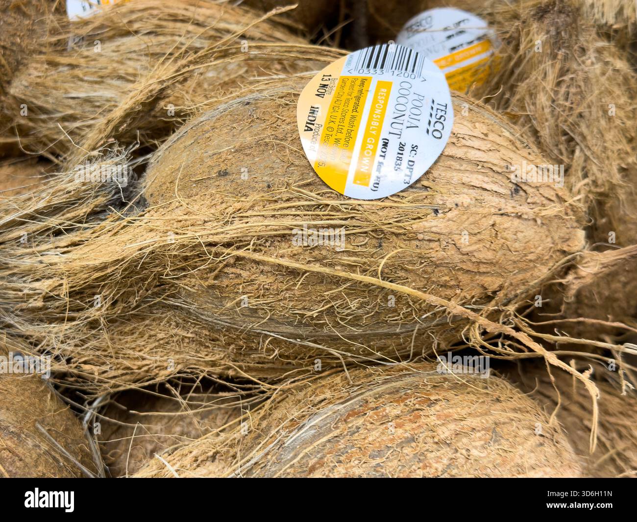 Kokosnüsse in den Regalen eines Supermarktes, fertig zum Verkauf. - Smartphone-aufgenommenes Stockfoto