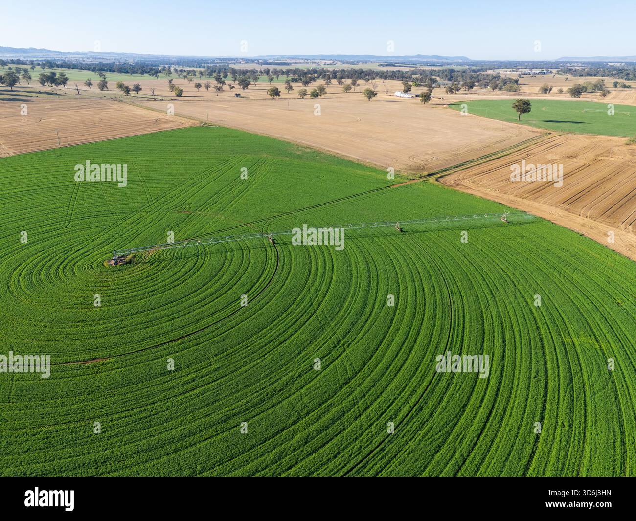 Luftaufnahme des zentralen Pivot-Bewässerungssystems und des grünen Feldes in Cowra NSW Australien Stockfoto