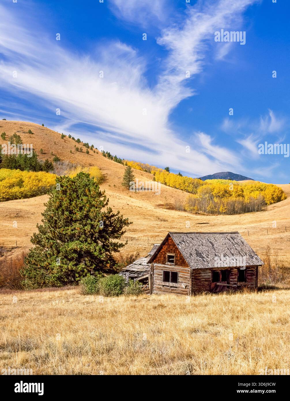 Altes Gehöft Kabine und fallen Farben in der bearpaw Berge in der Nähe von Rocky Boy, Montana Stockfoto