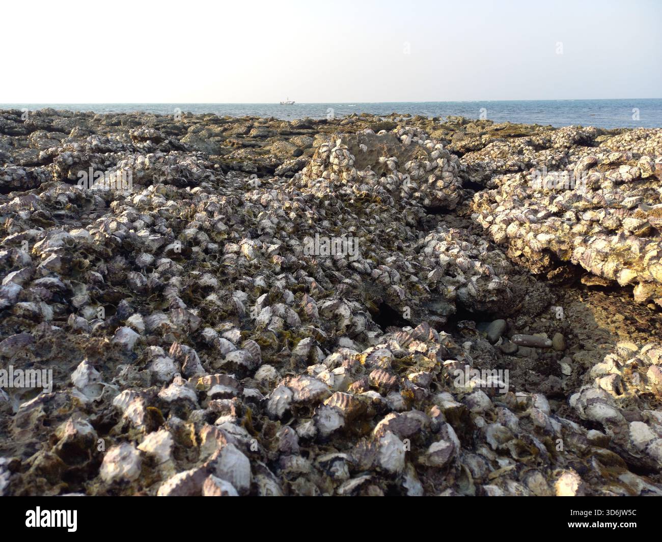 Coral Stones on the Sea Beach at Saint Martin’s Island – ein Naturschatz von Bangladeschs einzigem Korallenparadies Stockfoto