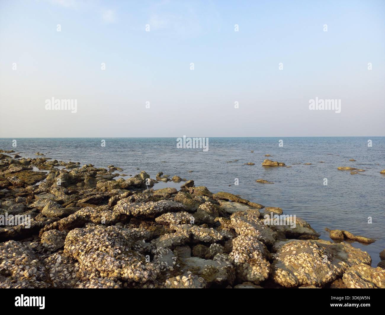 Coral Stones on the Sea Beach at Saint Martin’s Island – ein Naturschatz von Bangladeschs einzigem Korallenparadies Stockfoto