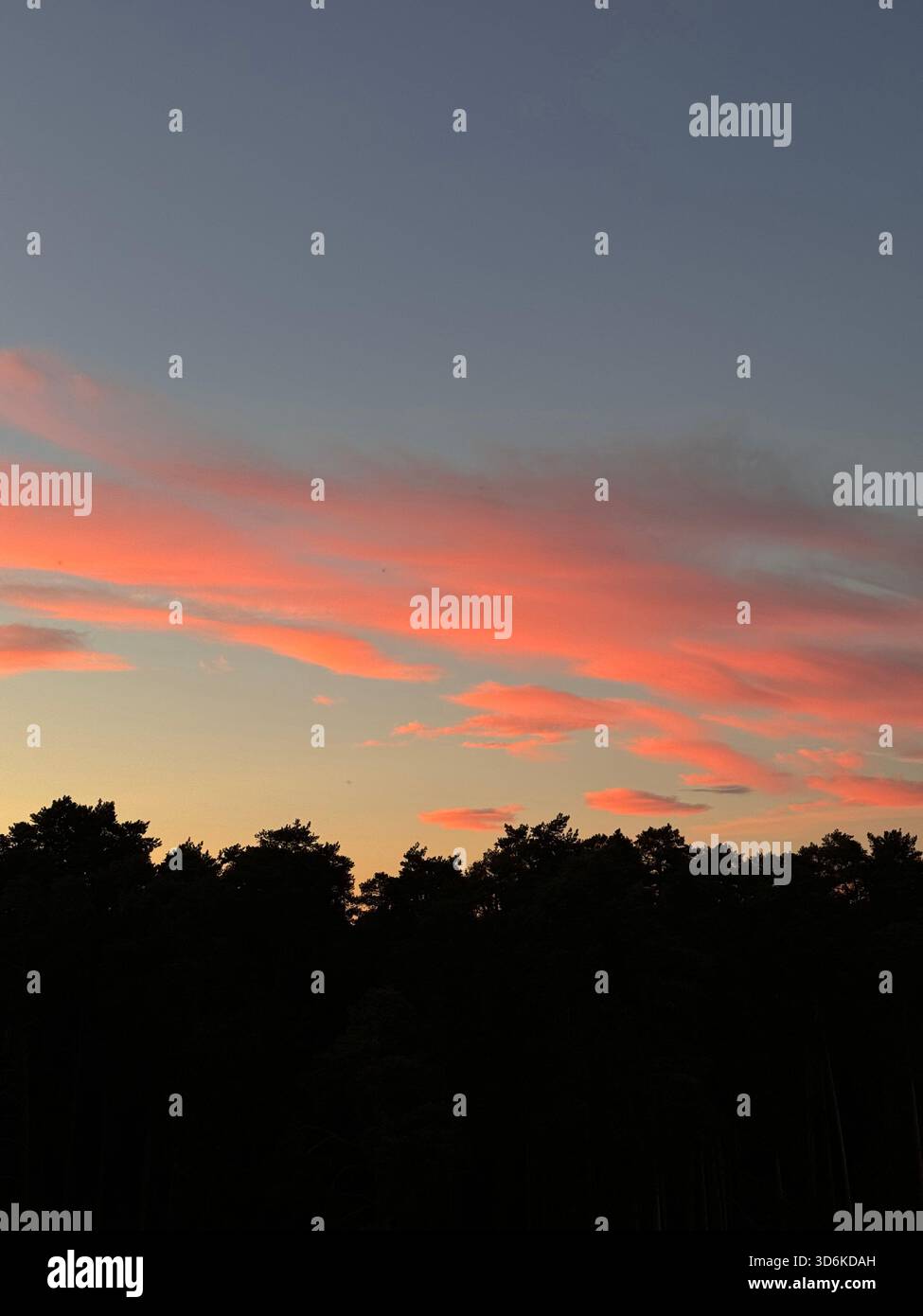Ein heiterer, dämmerlicher Himmel mit leuchtenden Streifen von Korallen und Pfirsichwolken gegen ein tiefes Blau. Der weiche Verlauf von warmem Horizont leuchtet - Smartphone-aufgenommenes Stockfoto