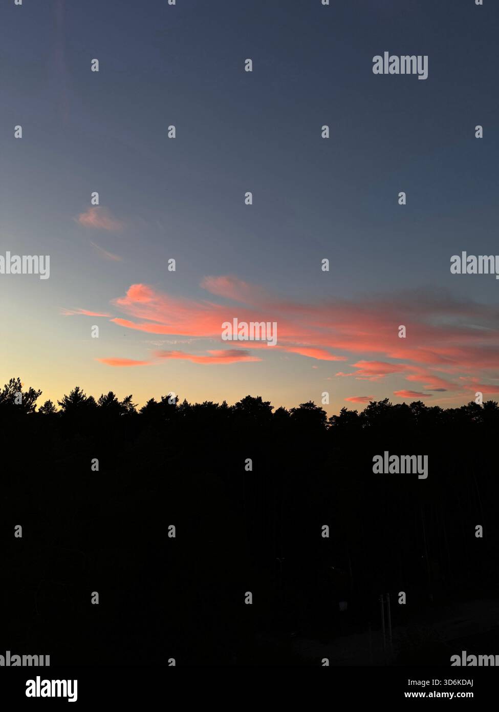 Ein heiterer, dämmerlicher Himmel mit leuchtenden Streifen von Korallen und Pfirsichwolken gegen ein tiefes Blau. Der weiche Verlauf von warmem Horizont leuchtet - Smartphone-aufgenommenes Stockfoto