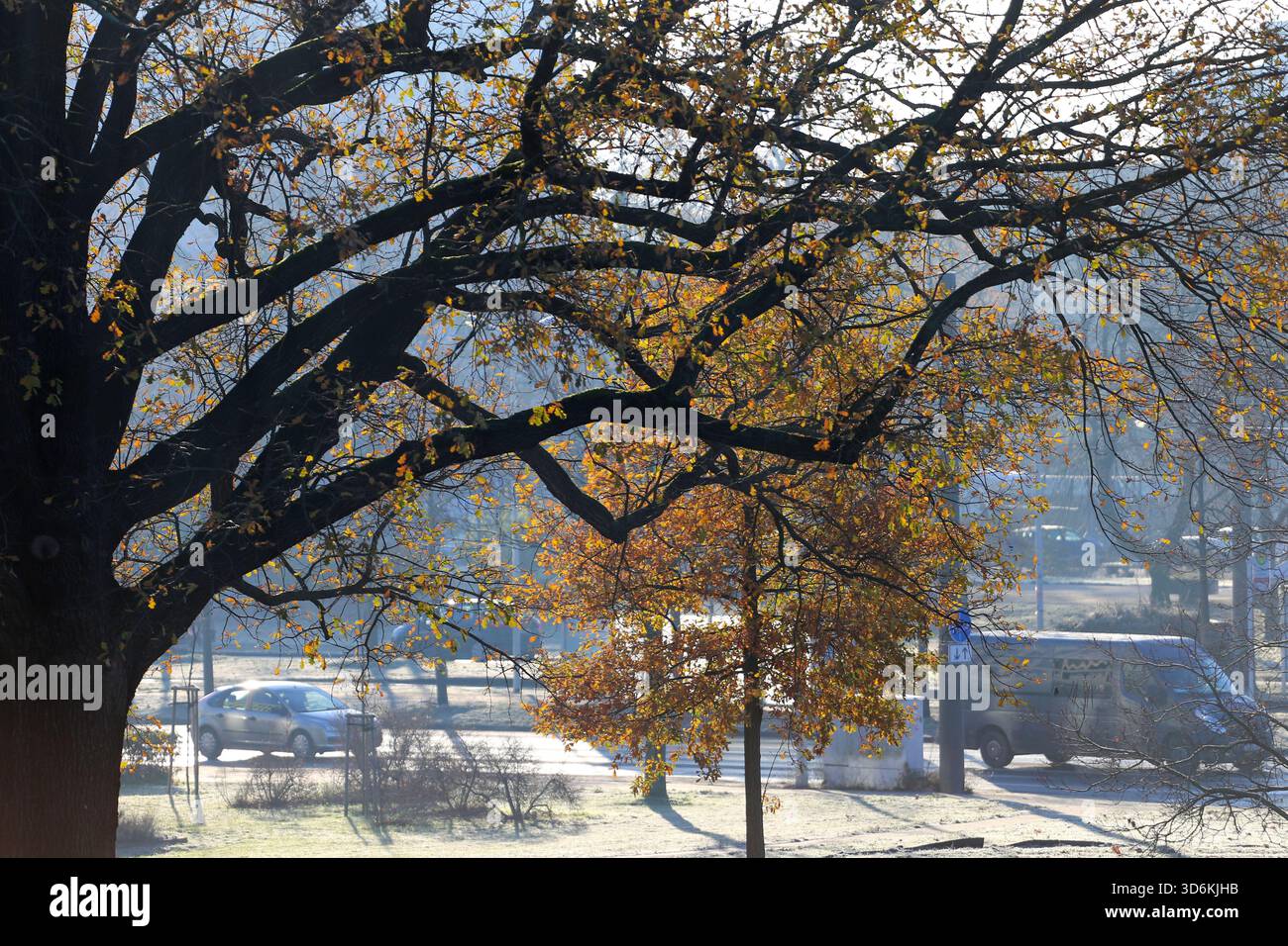 Cottbus, Brandenburg, Deutschland. November 2025. Die Fahrzeuge fahren direkt neben dem Hauptbahnhof in Cottbus. Eine 250 Kilogramm schwere Bombe aus dem Zweiten Weltkrieg, die während der Bauarbeiten an der neuen EISWARTUNGSANLAGE entdeckt wurde, führte zu einer 300 Meter langen Sperrzone und der Evakuierung von rund 500 Einwohnern. Das Gerät, eine deutsche Luftbombe mit sowjetischer Sicherung, wird von der Sprengstoffentsorgungsbehörde entschärft. Das Gelände war bereits vor dem Bau auf Kampfmittel überprüft worden, dort wurden im Mai und Juni Bomben freigesetzt, da der Bahnhof Cottbus während des Zweiten Weltkriegs schwer bombardiert wurde ( Stockfoto