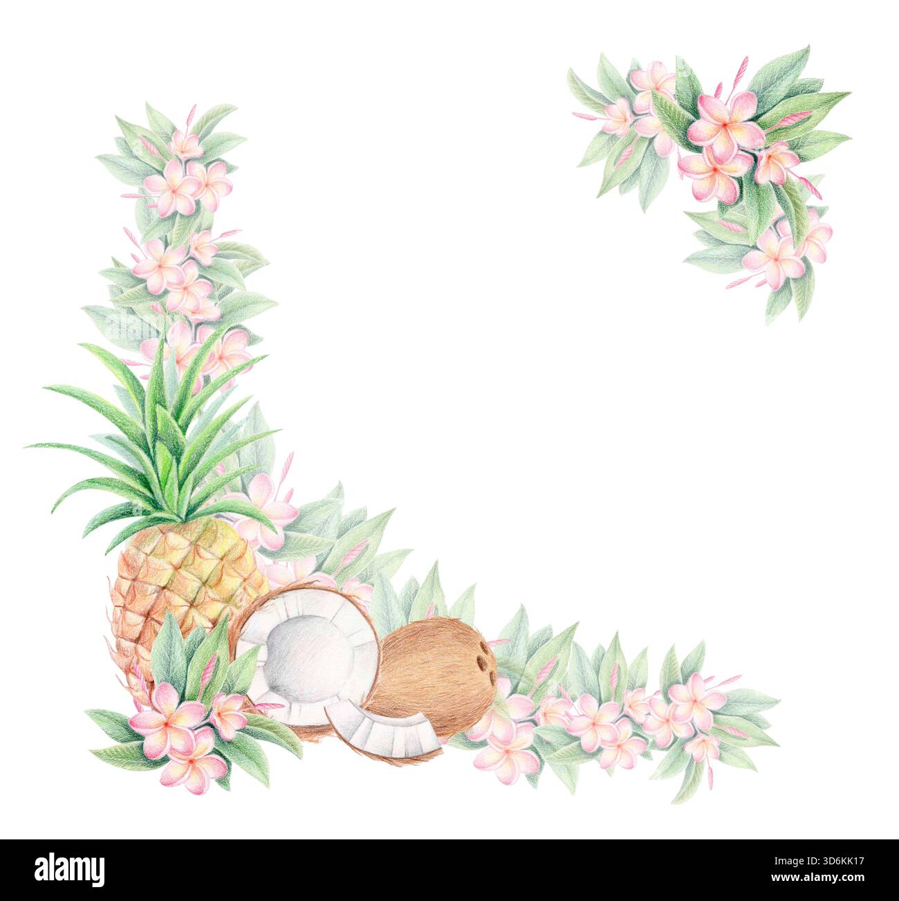 Tropische Eckrahmen Illustration mit Plumeria Blumen, Kokos, Ananas isoliert auf weiß. Kulinarische Clipart mit exotischen Früchten und Frangipani-Grenze. Stockfoto